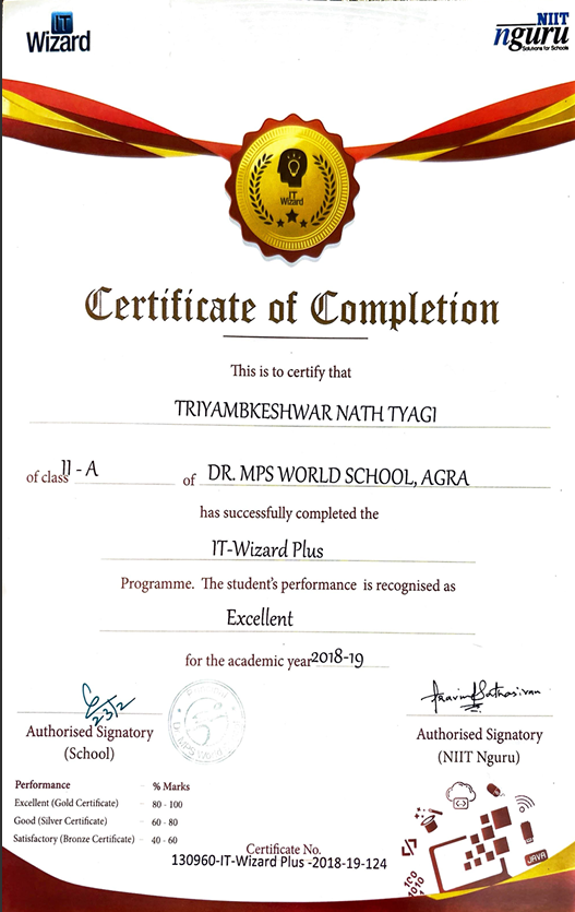 IT-Wizard Plus Programme